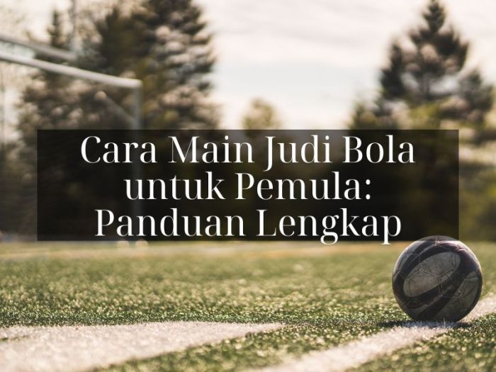 Cara Membaca Odds Judi Bola untuk Pemain Indonesia